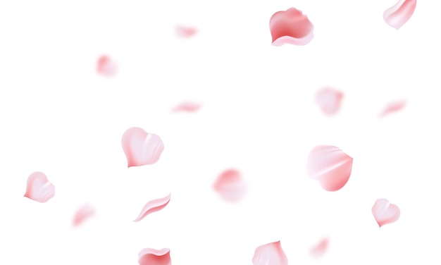 Pétalos voladores de Sakura en el diseño de fondo blanco