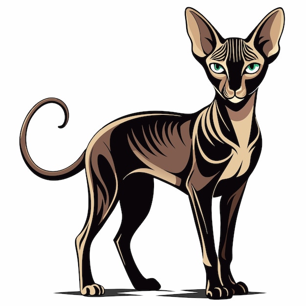 Peterbald vectores silueta con fondo blanco