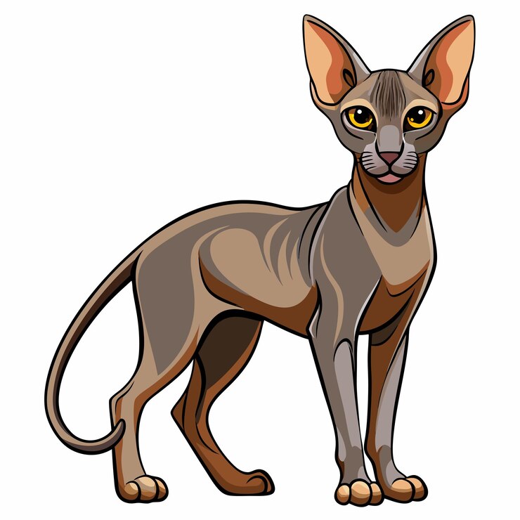 Vector peterbald vectores silueta con fondo blanco