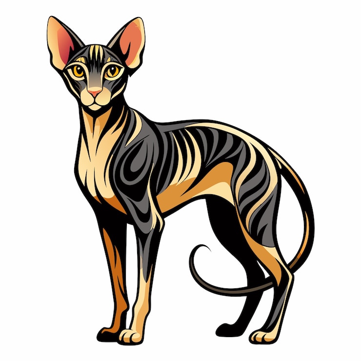 Vector peterbald vectores silueta con fondo blanco