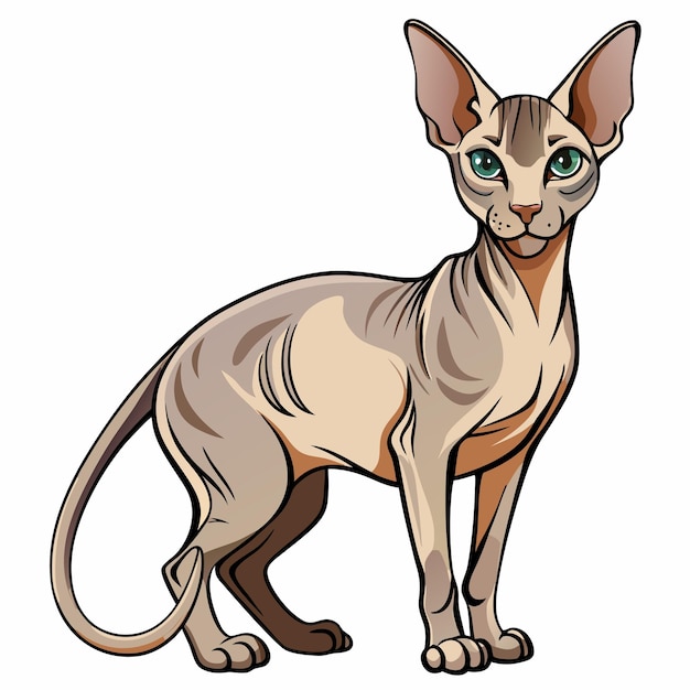 Peterbald vectores silueta con fondo blanco