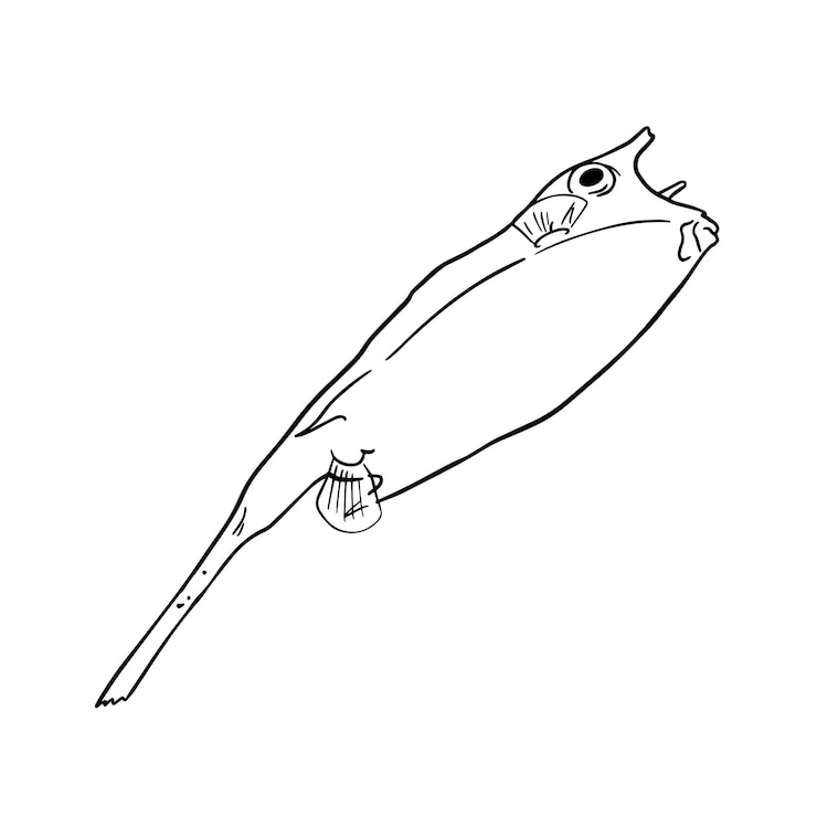 Vector pez animal marino nadando en el agua dibujos dibujos animados lineales libro de colorear