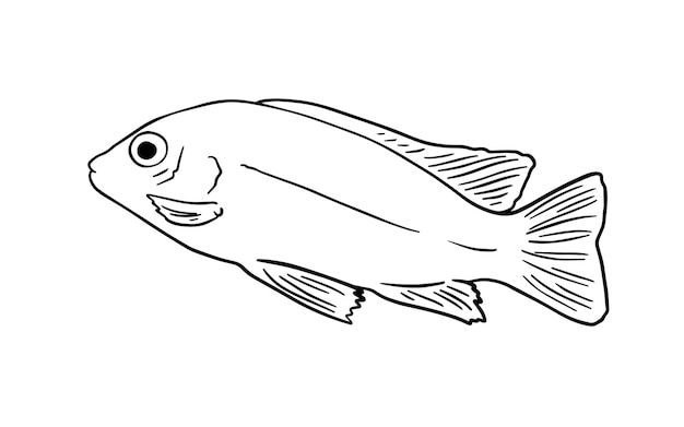 pez animal marino nadando en el agua dibujos dibujos animados lineales libro de colorear