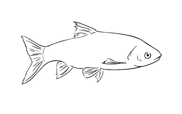pez animal marino nadando en el agua dibujos dibujos animados lineales libro de colorear