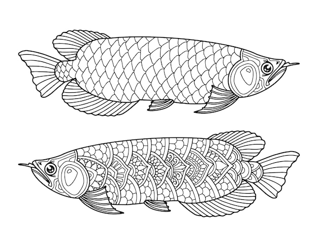 Pez arowana para colorear diseño de página fondo claro