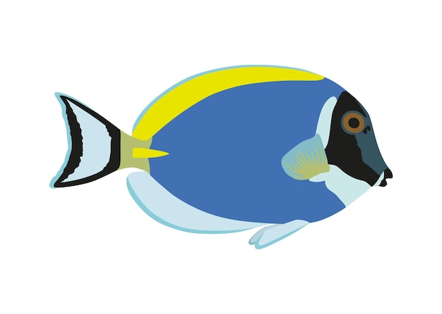 Vector pez cirujano azul claro sobre un fondo blanco