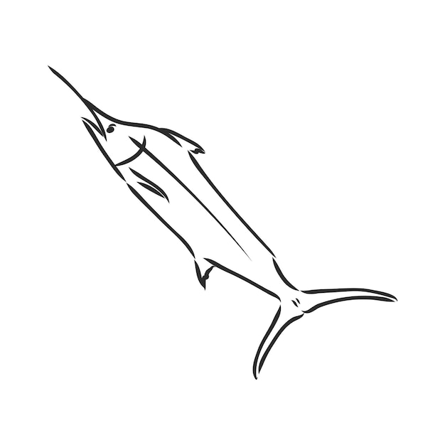 Pez espada dibujado a mano. Ilustración de vector en estilo boceto dibujo de vector de marlin sobre un fondo blanco