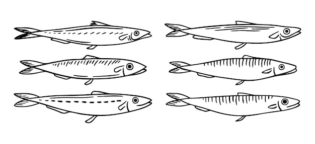 pez espadín de mar arenque caballa pequeño pez dibujado a mano icono dibujo de contorno de pescado marino arenque cabala pequeña línea de pescado símbolo clipart