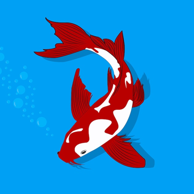 Vector pez koi rojo-blanco sobre un fondo azul con burbujas. carpa japonesa. color rojo y blanco.