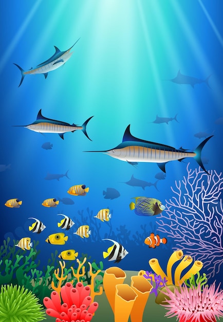 Pez marlín azul nadando bajo el agua Ilustración vectorial de personajes animales de dibujos animados