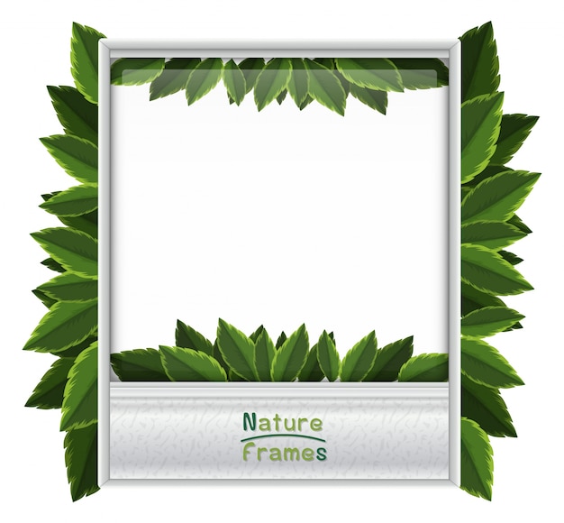 Photoframe con hojas verdes