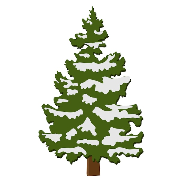 Vector picea