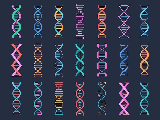 Vector pictogramas de adn símbolos formas de genes elementos biológicos investigación de código de hélice genética secuencias médicas genes vibrantes signos vectoriales simples y decentes