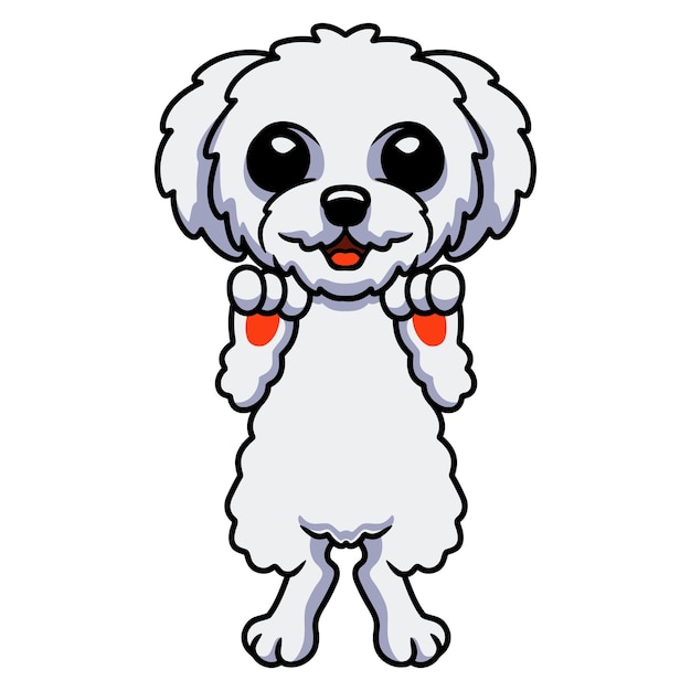 Pie de dibujos animados lindo bichon frise