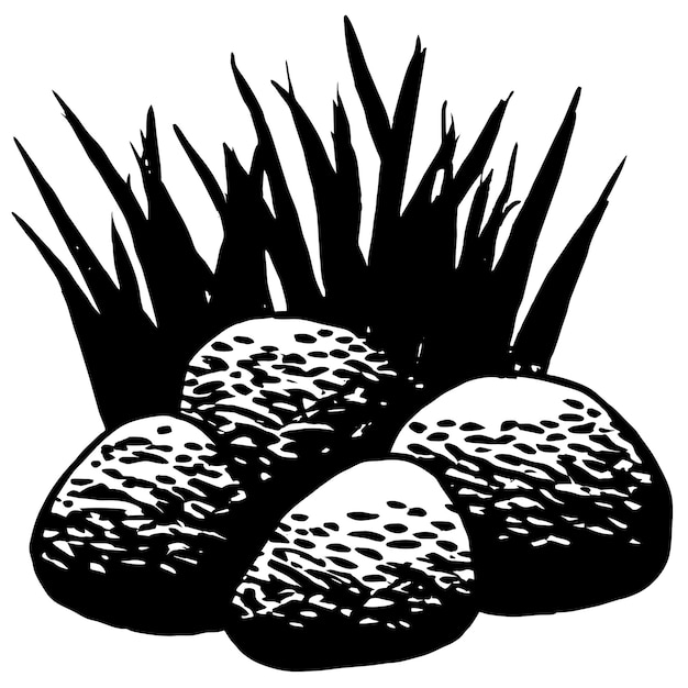 piedras con hierba verde y hojas