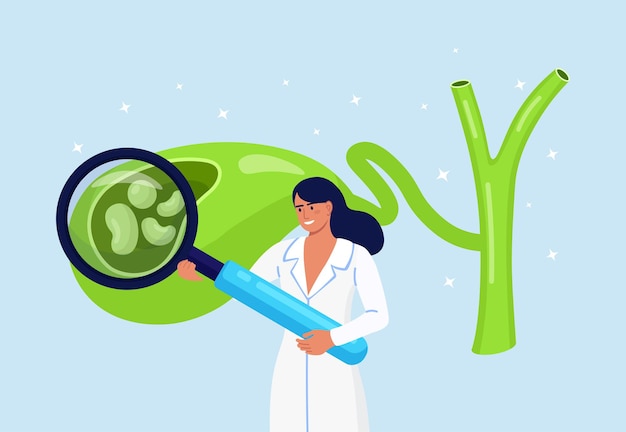 Piedras en la vesícula biliar. Médico científico gastroenterólogo examinar la vesícula biliar con lupa. Los médicos tratan los cálculos biliares. Problemas de discinesia biliar. Investigación de laboratorio de colecistitis