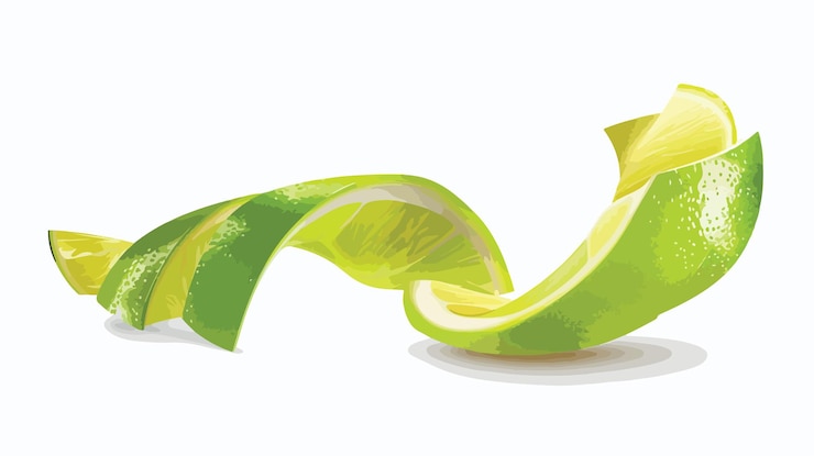Vector piel de cal fresca aislada sobre un fondo blanco en estilo vectorial plano