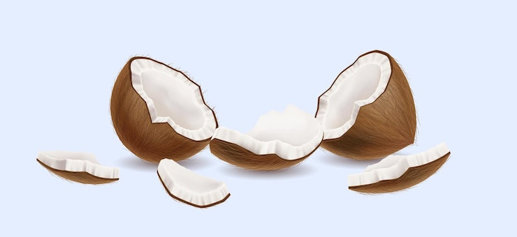 Vector piezas de coco agrietadas ilustración vectorial realista