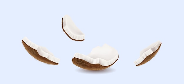 Piezas de coco flotando ilustración vectorial realista