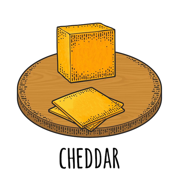 Piezas de queso cheddar en tablero de madera grabado vectorial vintage