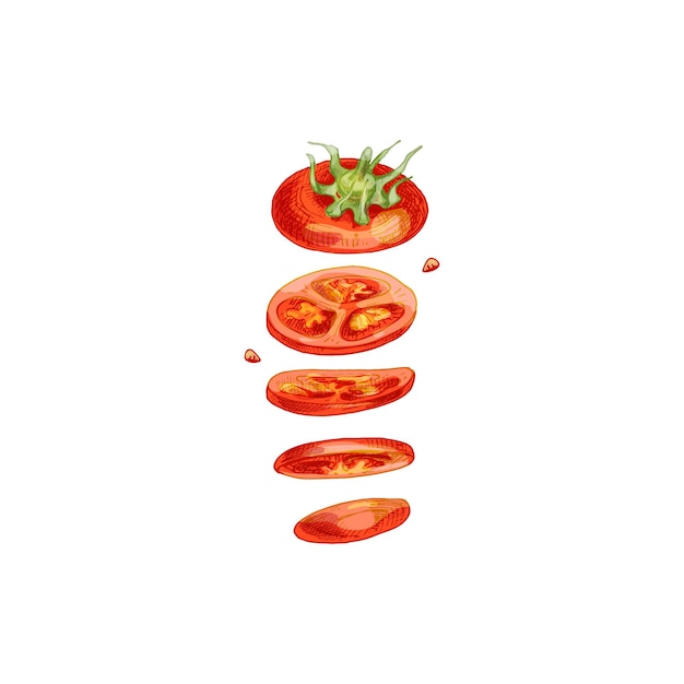 Piezas voladoras de ciruela de tomate rojo Ilustración de color de eclosión de la vendimia del vector aislado en blanco