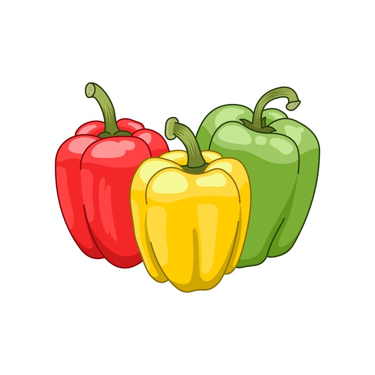 Vector pimenton. comida sana.
