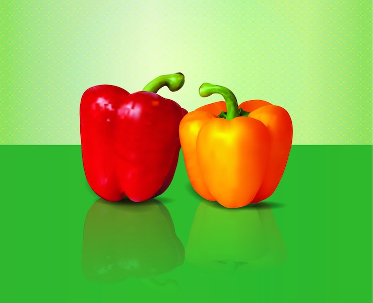 Vector pimentón y pimentón