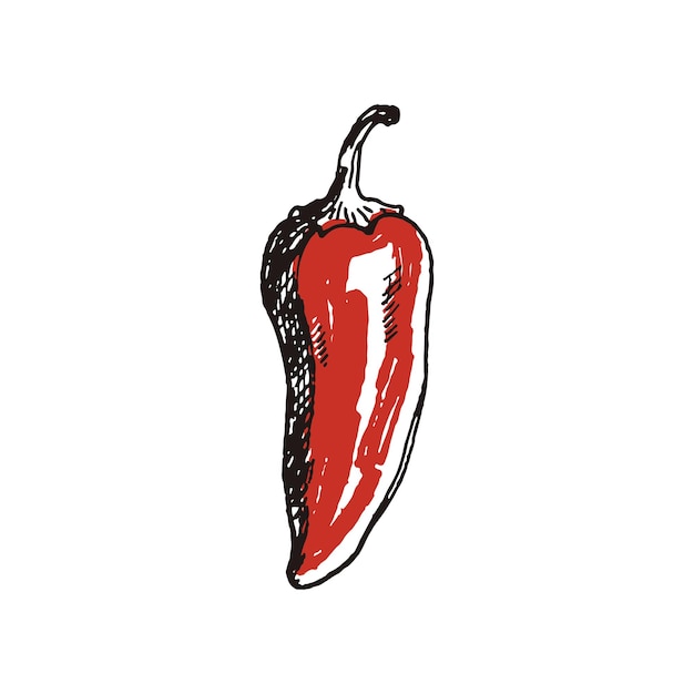 Pimienta de chile dibujada a mano en rojo y negro