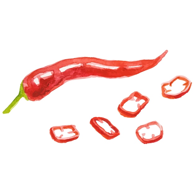 Vector pimienta de chile pintada en acuarela elemento de diseño de alimentos frescos dibujado a mano aislado en fondo blanco