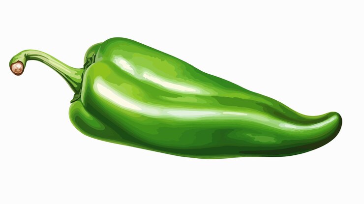 Vector pimienta dulce verde fresca y madura, pimienta capsicum aislada sobre un fondo blanco