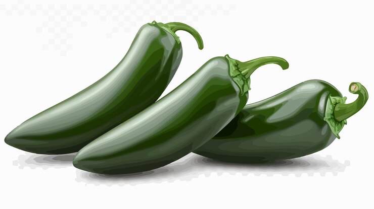 Vector pimienta jalapeno fresca aislada sobre un fondo transparente