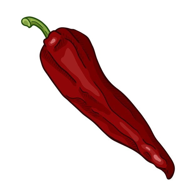 Pimienta de pimiento rojo de dibujos animados de vector