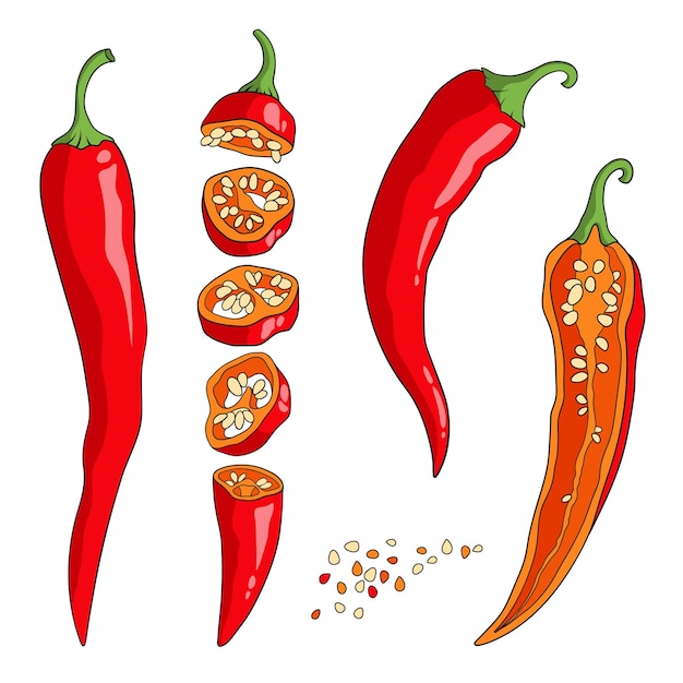 Pimienta roja de chile cortada en pedazos longitudinalmente y transversalmente pimienta de cayena picante con semillas vector