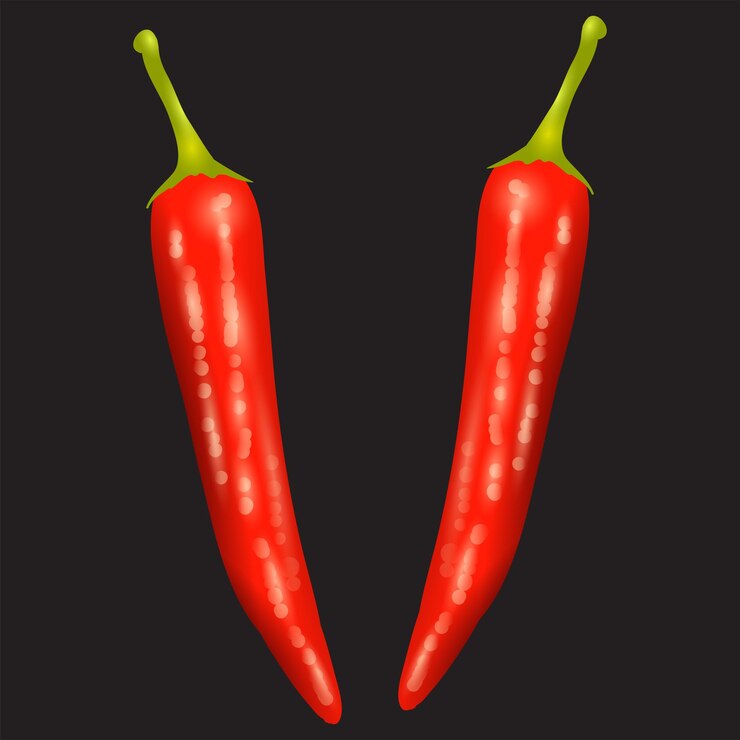 Vector pimienta roja pimienta serrano pimienta ojo de pájaro pimienta cayena pimienta tabasco pimienta de chile vector