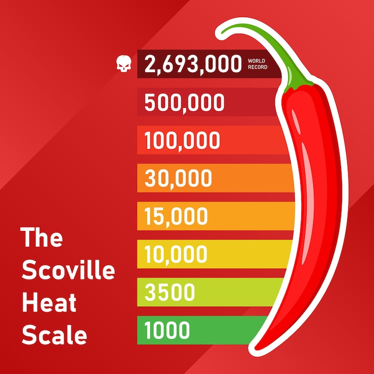 Vector un pimienta roja con un tallo verde y una escala de calor caliente roja