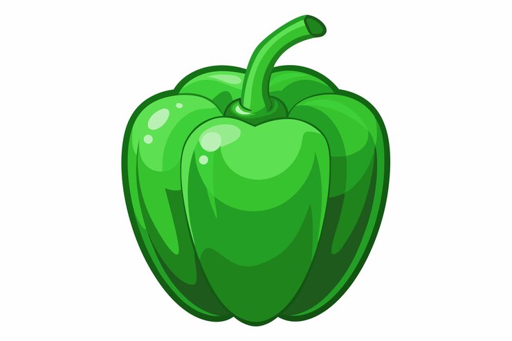 Vector pimienta verde sobre un fondo blanco