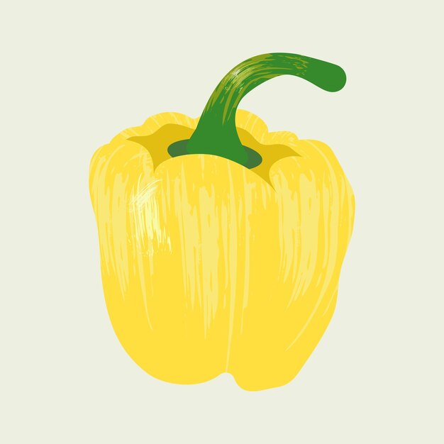 Pimiento amarillo aislado ilustración vectorial con textura de pincel