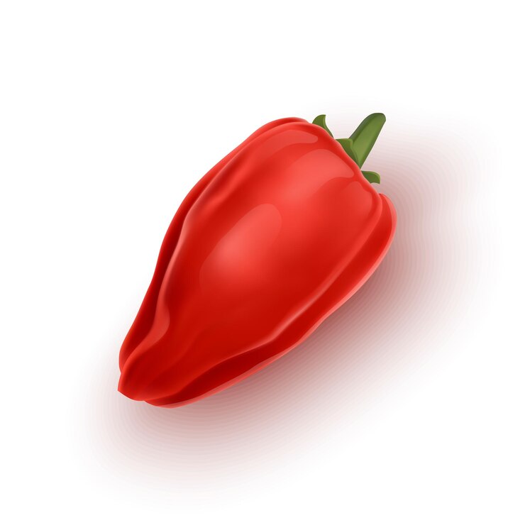 Vector pimiento dulce de color rojo ilustración vectorial aislado sobre fondo blanco