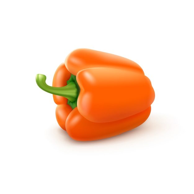 Pimiento naranja búlgaro, pimentón aislado