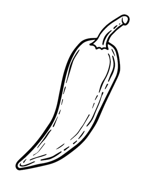 Vector pimiento picante lineal doodle