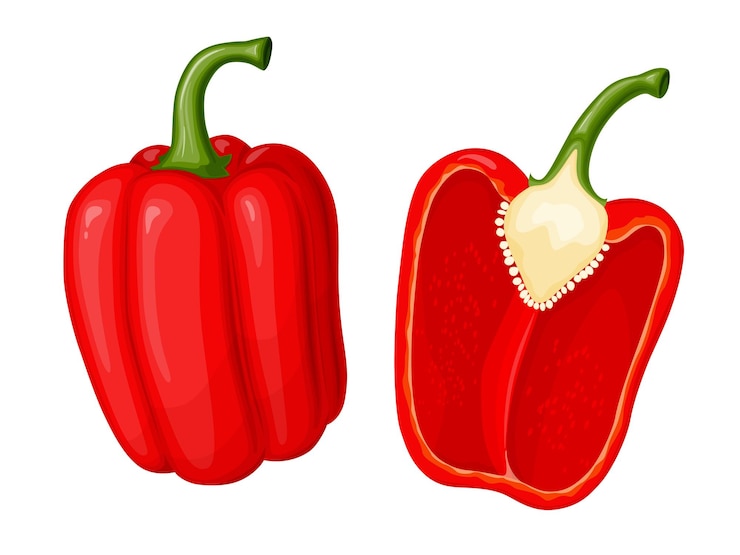 Vector pimiento rojo dulce ilustración de vegetales en estilo plano simple de dibujos animados