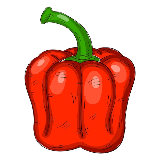 Pimiento rojo fresco realista sobre fondo blanco Ilustración vectorial