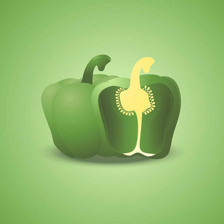 Vector pimiento verde pimentón aislado sobre fondo blanco vector 3d realista con dibujo a mano