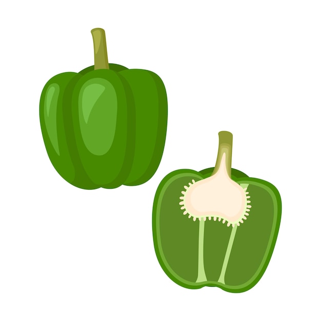 Pimiento verde, verdura entera y la mitad. ilustración vectorial