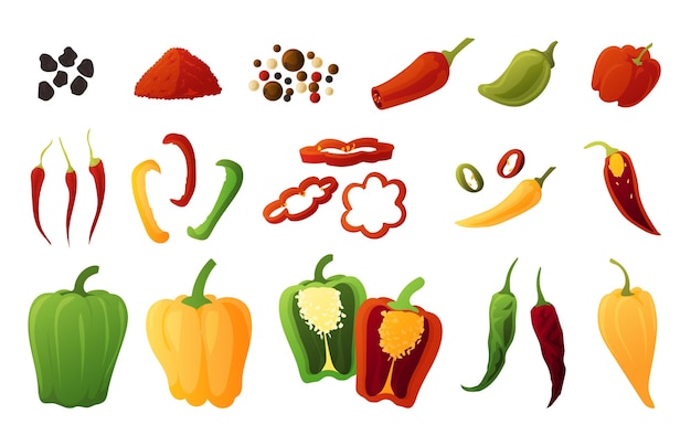 Vector pimiento verduras orgánicas de dibujos animados jalapeño verde y pimentón dulce de naranja cultivos agrícolas pimiento rojo y rodajas de chile picante colección aislada de condimentos picantes conjunto de ingredientes culinarios vectoriales