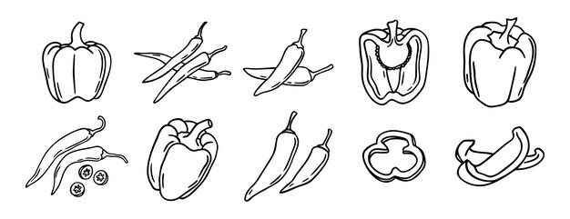 pimientos de chile calientes rojos y pimientos de campana juego de iconos dibujados a mano dibujo de esquema pimientos de chili calientes rojo y pimientos del campán línea colección de símbolos clipart