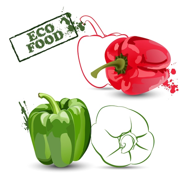 Pimientos. Colección de pimiento rojo y verde. Comida sana y vegetariana. Comida ecológica. Ilustración vectorial.