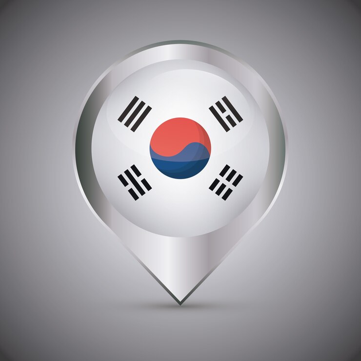 Vector pin de ubicación con la bandera de corea del sur