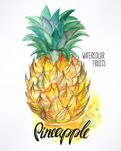 Piña acuarela madura deliciosa. ilustración dibujada a mano