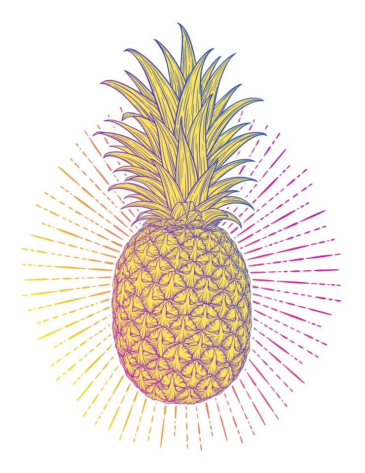 Vector piña decorativa dibujada a mano fruta colorida estilizada naturaleza de fondo de primavera de verano